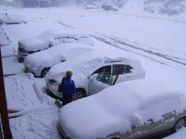 1184877_10151707424793170_1431197458_n