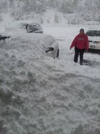 994005_247771122038193_2146104049_n